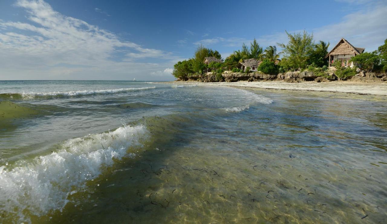 Afya Village At The Sea Michamvi Extérieur photo