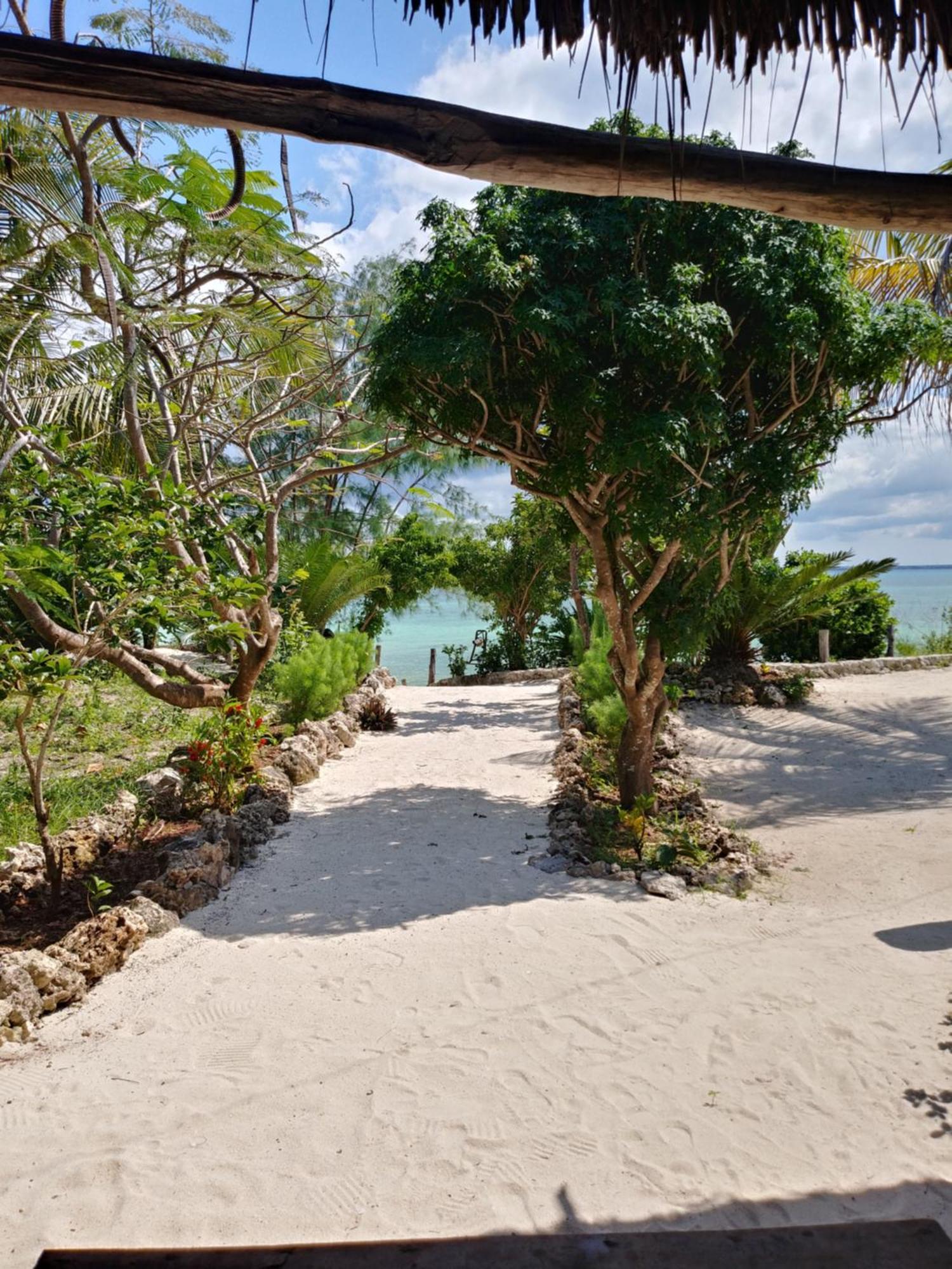 Afya Village At The Sea Michamvi Chambre photo