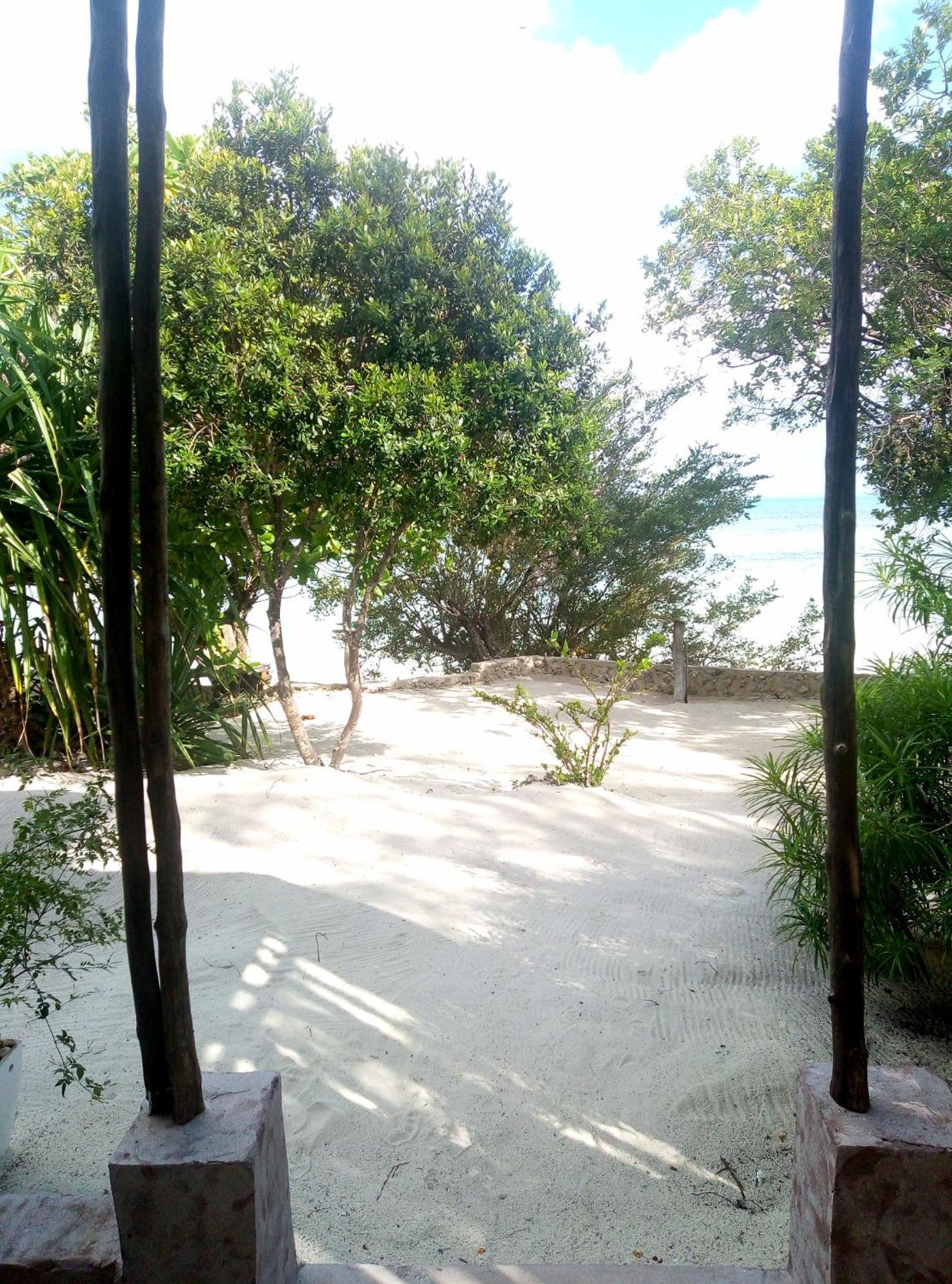 Afya Village At The Sea Michamvi Chambre photo